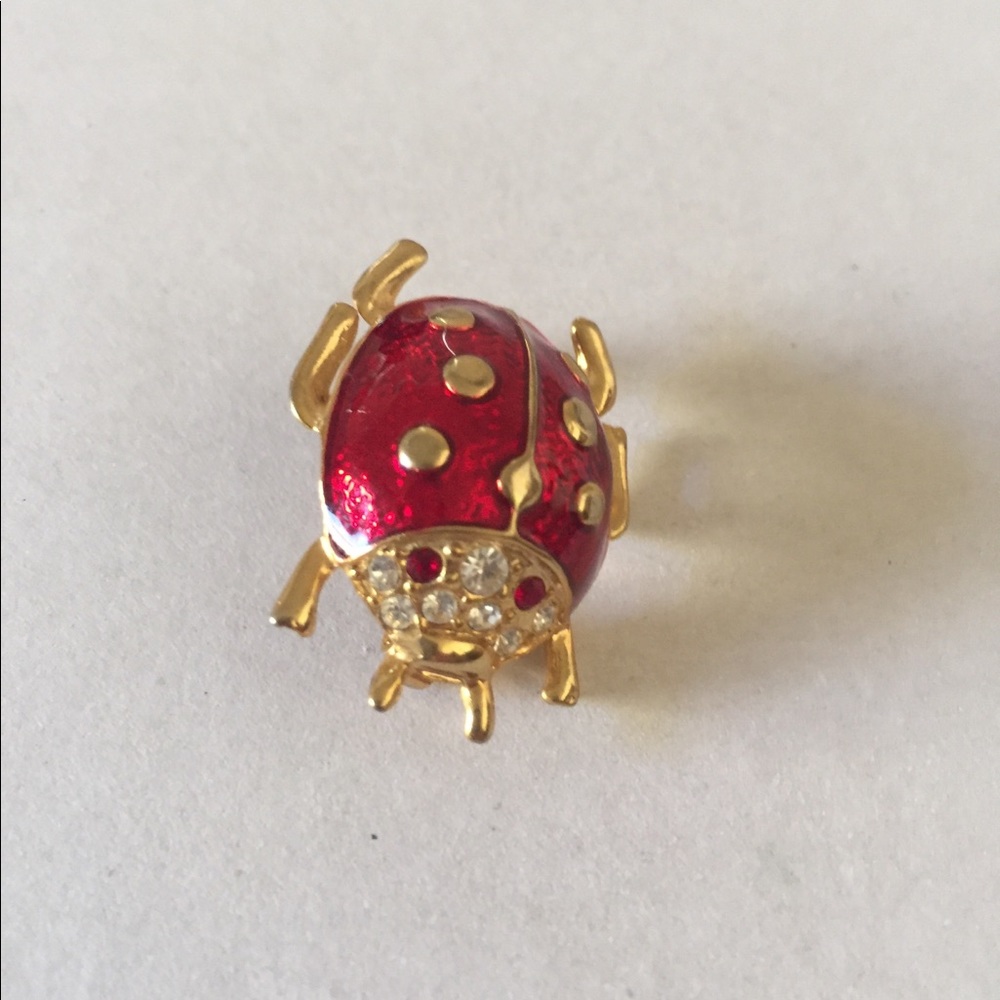 Ladybug Brooch